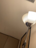 落地灯立式客厅卧室书房床头学习双头北欧LED遥控ins风子母灯 子母灯+送两个5WLED暖光 晒单实拍图