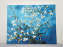 自油自画 世界名画数字油画diy礼物梵高手绘油画欧式客厅装饰挂画填色油画 杏花40*50 梵高名画 绘画套装 实拍图