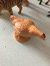 Wenno仿真家禽儿童早教认知玩具猪羊奶牛模型男女孩过家家玩具动物摆件 公猪（Hog） 实拍图