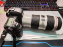 Canon佳能EF 70-200mm系列 小白兔 大白 长焦镜头二手 EF 70-200 F4 IS 二代镜头 99新 晒单实拍图