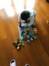 费乐（FEELO）大颗粒拼装积木兼容乐高一斤装节日礼物儿童玩具500g基础颗粒 晒单实拍图