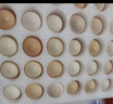 惠寻京东自有品牌 新鲜谷物喂养土鸡蛋10枚装初生蛋360g破损赔付 实拍图