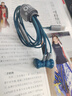 essonio意大利高端有线耳机Type-C音频游戏K歌录音专用HIFI音质无延迟久戴不痛华为三星galaxy通用耳麦 Type-C数字版  千山翠 实拍图
