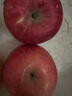 王掌柜 陕西 洛川苹果 红富士 当季水果 礼盒 脆甜多汁不打蜡  条纹大果 正宗洛川苹果 净果5斤85-90mm 实拍图