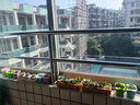 两腿跑【送货上门】三八节多肉植物带盆桌面盆栽组合绿植花卉幼儿园盆栽 10棵多肉+木盆+营养土 实拍图