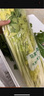 嗯嗯乐山东青岛特产正宗马家沟空心芹菜有机嫩芯大黄叶精品菜芯 有机 精品芹菜2斤礼盒装 实拍图