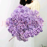 匠心绽放绣球永生花天然干花真花家居软装造景民宿装饰摆件DIY花紫色20270 实拍图