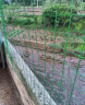 界图铁丝网围栏防护网养殖网荷兰网牛栏网隔离网养鸡鸭鹅铁网包塑栅栏 3.0毫米粗*1.8米高*30米6CM孔 晒单实拍图