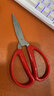 保联剪刀家用经典红色厨房剪办公文具剪纸小剪刀不锈钢手工线剪子多个 【大号】19.5cm 实拍图
