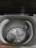 小天鹅（LittleSwan）波轮洗衣机全自动 10公斤直驱变频 以旧换新 健康免清洗 一键脱水 除螨洗TB100V23DB 实拍图