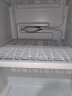 TCL200升L3三开门养鲜冰箱三温区中门软冷冻节能122升大冷藏快速制小型租房家用冰箱R200L3-CZ 实拍图
