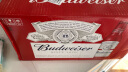 百威拉格啤酒355ml*24瓶红铝瓶啤酒整箱装新旧包装五一出游 晒单实拍图