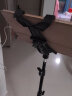 芯鲜 直播支架平板夹 三脚架平板夹支撑架苹果ipad平板电脑夹子主播自拍抖音视频支撑驾支夹固定 【SH33平板夹】+【金属云台】 实拍图