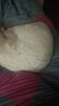 YITO 宠物鱼油靓毛爆猫粉美毛亮毛黑鼻头卵磷脂美毛护肤猫狗掉毛鱼油 宠物深海鱼油40粒/瓶 实拍图