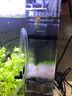 森森鱼缸水族箱 三合一内置潜水多功能鱼缸过滤器 养鱼用品 JY-03(油膜处理)配30-40cm鱼缸5W 实拍图