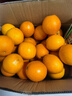 集南鲜 赣南脐橙 江西橙子新鲜现摘水果脐橙时令生鲜水果甜橙 水果礼盒 20斤彩箱特级橙 净重18斤 单果200g+ 实拍图