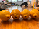 新奇士（Sunkist） 美国柠檬 4粒 特级 单果80-120g 新鲜水果 实拍图