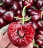 阿嬷森果智利进口车厘子樱桃礼盒装【JD速运-可送货上门】大樱桃送礼水果 5斤(净重) 【高端礼盒-保温箱】  超大果 2J 单果28-30mm 实拍图