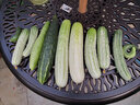 御藤美家（ROYAL RATTAN）户外桌椅阳台桌椅组合休闲桌椅铸铝桌椅套件花园庭院露天桌椅 一桌四椅（正格椅配90祥云桌） 实拍图