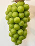 果贤达晴王阳光玫瑰葡萄日本引进品种当季新鲜无核无籽香印葡萄水果 5斤 【礼盒装】 实拍图