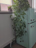 惠康（HICON)冰箱小型家用单人宿舍冷藏冷冻双开门电冰箱二人租房小冰柜彩色复古小冰箱 薄荷绿 BCD-131M 实拍图