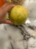 颜小荭越南大青芒果新鲜当季现摘特大整箱青皮水果芒果源头直发 4.5-5斤严选大果（店长推荐） 实拍图