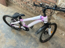 凤凰儿童山地自行车单车6-12小学生中大童女男孩减震变速辐条22寸粉色 实拍图