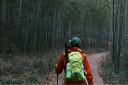 拓路者朱雀冲锋衣女三合一硬壳春秋户外登山服外套防风保暖冬季城市通勤 朱雀红-单冲无内胆 M 实拍图