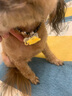SLPC狗牌定制身份牌小型犬泰迪博美挂牌项圈铃铛刻字猫吊牌防走失饰品 黑色民族风+名牌 S-小型（3到20斤可用） 实拍图