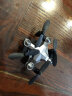 DH行李箱迷你无人机折叠航拍遥控飞机有摄像头四轴飞行器儿童玩具 钛灰-定高-无摄像头 实拍图