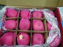 洛川苹果黄金维纳斯苹果陕西延安苹果水果礼盒送礼时令新鲜 源头直发 小苹果 轻奢装【纯甜不酸】 实拍图