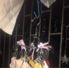 OASISWJ衣架多夹不锈钢晾衣架加粗实心多功能晒裤袜架学生宿舍挂衣神器 方形12夹 实拍图