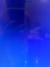 4K 王牌【千万人购买】电视机巨幕大屏超高清智能网络语音平板防爆客厅卧室家用无线投屏会议彩电显示屏 85英寸 防爆网络     送货上门 晒单实拍图