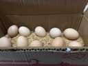 滇味十足 鸡蛋 新鲜农家林间散养土鸡蛋 月子蛋满月礼喜蛋农村笨鸡蛋 30枚装 实拍图