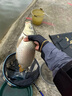 达亿瓦（DAIWA） 22新款高性能 全包式夏季防晒面罩 冰袖 露5指钓鱼手套 DG-8022CS手套 黑色 均码/对 均码 实拍图