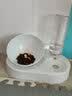 憨憨乐园狗狗外出喝水杯狗水壶水杯宠物喝水器猫咪饮水器喂水器猫水碗 实拍图