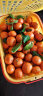 广西荔浦沙糖桔 砂糖橘 甜橘子4kg礼筐 礼盒装 新鲜水果 新老包装交替发货 实拍图