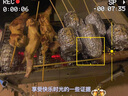 途客烧烤架户外烧烤炉家用木炭小型烧烤炉子野外烧烤用品碳烤炉烤肉炉 40*18烧烤炉+赠品 实拍图