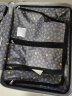 新秀丽（Samsonite）行李箱迪士尼米奇密码箱拉杆箱旅行箱托运箱银色20英寸41C*25013 实拍图
