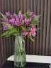 盛世泰堡 玻璃花瓶透明水养植物插花瓶富贵竹百合玫瑰水培容器大花瓶客厅桌面摆件 直筒款1025 实拍图