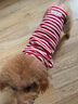 ISPET狗狗衣服宠物泰迪猫咪衣服金毛大中小型犬薄款四季通用&新疆棉 红色-部分码数升级两袖 XL 建议11-14斤 实拍图