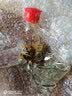 福益德山西陈醋手工纯粮酿造 酸度5度 山西特产纯粮酿造食醋 160mL 山西陈醋桌上瓶160ml*5瓶装 实拍图