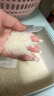 东北老农 2023年新米 胚芽米 2.5kg 粥米大米 宝宝营养辅食活米 晒单实拍图