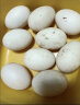 蔬香客鹅蛋12枚 120g-140g 杂粮喂养孕妇食材农家散养土鹅蛋 晒单实拍图