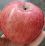 京鲜生 陕西洛川苹果红富士12粒 单果180-220g 新鲜水果 实拍图