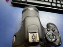 佳能 Canon 700D 650D 600D 550D 800D入门级高清旅游数码二手单反相机 600D机身【不含镜头】 95新 实拍图