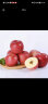 京鲜生甘肃静宁红富士苹果12粒 单果180-220g 水果 包装随机 晒单实拍图