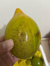 三萌果蔬海南鸡蛋果【JD/顺丰空运】新鲜黄金蛋黄果狮子头果热带水果 1斤大果装丨单果120-200g 新鲜直达 实拍图