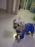 SLPC狗狗衣服小型犬冬装泰迪比熊博美狗衣服宠物棉服四脚小狗衣服 蓝色 M（4-6斤） 晒单实拍图