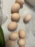 我老家 农家谷物鸡蛋 山林散养初生蛋鲜鸡蛋 10枚装400g 实拍图